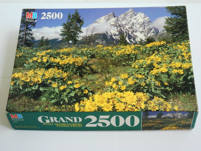 2500 piece Jigsaw Puzzle of floral mountain scenery with 3 pieces ...