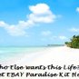 Ebay Paradise Success Kit