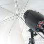 Photo Studio High Output Lighting Lamp 110/220V 50W