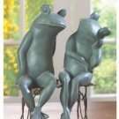 Lover Frogs on Bench