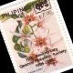 Single Stamps