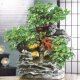 Table Fountains