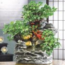 Splendid Forest Water Fountain