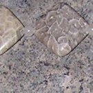 A12 - Bracelet - Fossilized Bead Bracelet