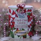 Candy Cane Garden
