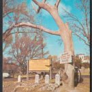 HANGMAN'S TREE, Boot Hill Cemetery, Dodge City, Kansas - Unused Post Card