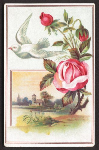 LION COFFEE Victorian Trade Card - Woolson Spice - red roses, white dove, church