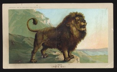 1890 Victorian Trade Card - Arbuckle Brothers Coffee Company - LION (Felis leo) (#24)