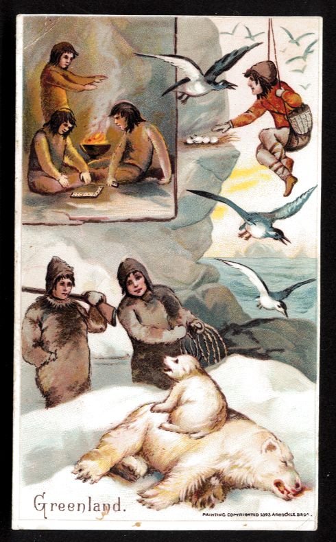 1893 Victorian Trade Card - Arbuckle Brothers Coffee Company - GREENLAND (#24)