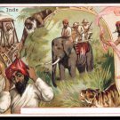 CHICOREE A LA BERGERE Victorian Trade Card - "Inde" (India) - Sports & Pastimes