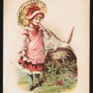 NEW HOME SEWING MACHINE, St. Louis -Victorian Trade Card, girl w/ parasol, doves
