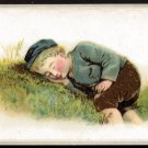 LION COFFEE Victorian Trade Card - Woolson Spice - small boy asleep on the grass