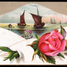 LION COFFEE Victorian Trade Card - Woolson Spice - pink rose, sailboats, rowboat