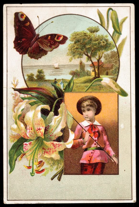 LION COFFEE Victorian Trade Card - boy w/ butterfly net, orchid(?), sailboat