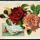 LION COFFEE Victorian Trade Card - Woolson Spice - red and pink roses, sailboat
