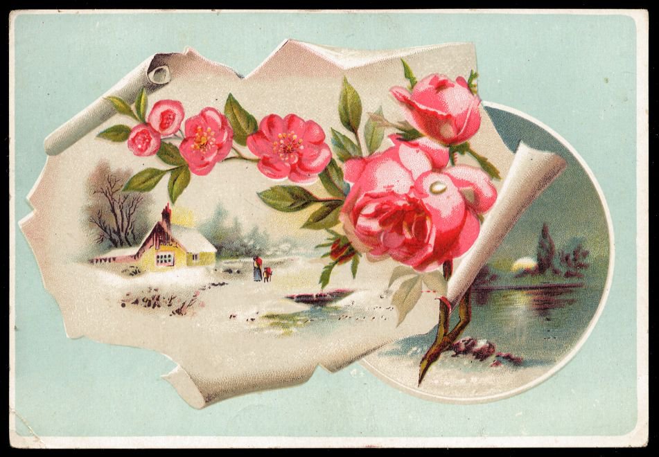 LION COFFEE Victorian Trade Card - pink roses, snow-covered house, moonlit pond