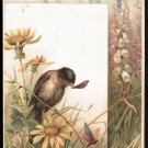 LION COFFEE Victorian Trade Card - Woolson Spice - bird, dragonfly, wildflowers