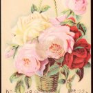 BREWSTER PIANOS Victorian Trade Card - colorful roses in hanging wicker basket