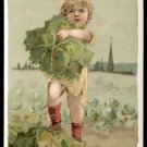 1889 Victorian Trade Card - Arbuckle Brothers Coffee Company - CABBAGE (#1)