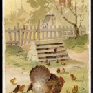 1889 Victorian Trade Card - Arbuckle Brothers Coffee Company - CHICKEN (#16)