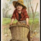 1889 Victorian Trade Card - Arbuckle Brothers Coffee Company - POTATOES (#24)