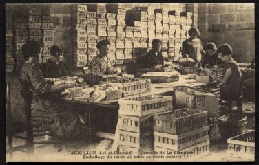 AIGUILLON, FRANCE - Table Grape Packaging - Reproduction of Vintage Postcard