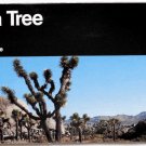 JOSHUA TREE NATIONAL MONUMENT, California - 1993 Visitor Map & Guide