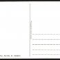 NEVIS, West Indies - Nelson Spring - 1980s International Post Card