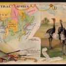 1889 Victorian Trade Card - Arbuckle Brothers Coffee Company - Map of CENTRAL AFRICA (#63)