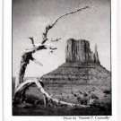 MONUMENT VALLEY NAVAJO TRIBAL PARK - Arizona / Utah - 1980s Visitor Guide