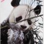 ZOOGOER Magazine - September, 1984 - Giant pandas Ling-Ling & Hsing-Hsing