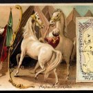 1889 Victorian Trade Card - Arbuckle Brothers Coffee Company - Map of ARABIA (#97)