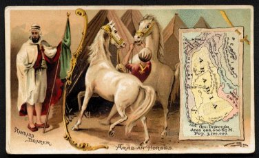 1889 Victorian Trade Card - Arbuckle Brothers Coffee Company - Map of ARABIA (#97)