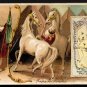 1889 Victorian Trade Card - Arbuckle Brothers Coffee Company - Map of ARABIA (#97)