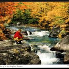 TEMPLE, MAINE - New England Autumn - 1950s(?) Scenic Post Card