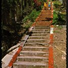 ST. THOMAS, U.S. VIRGIN ISLANDS - Ninety-nine Steps - 1964 Scenic Post Card