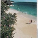 BERMUDA - 1981 Q&A Brochure
