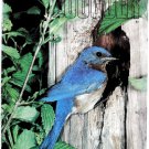 ZOOGOER Magazine - March, 1984 - bluebirds, Nepal, zoo police, photo contest