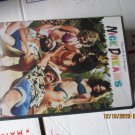 Cheech & Chong's Nice Dreams dvd