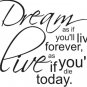 vinyl wall art decal sticker - dream quote (20"x24")