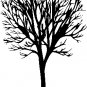 vinyl wall art decal | tree(23" x 35")