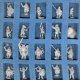 MINIATURES