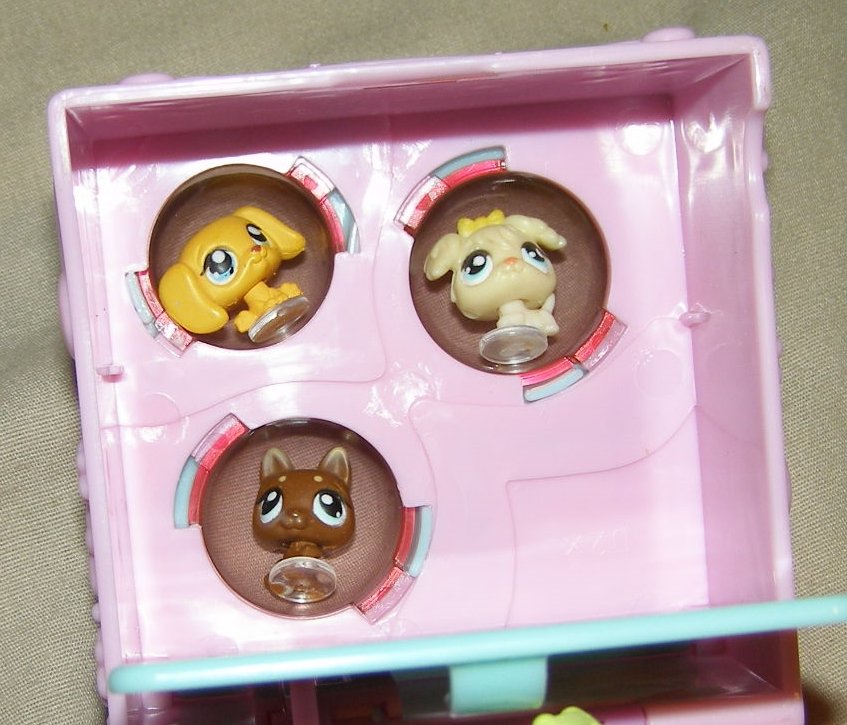 teeniest pet shop