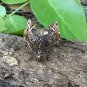 Handcrafted Bronze Viking Wolf Fenrir Head Norse Celtic Triquetra Ring