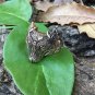 Handcrafted Bronze Viking Wolf Fenrir Head Norse Celtic Triquetra Ring