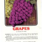 Annie's Attic Luscious Fruit Potholders Grapes Crochet Pattern 344