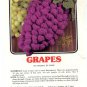 Annie's Attic Luscious Fruit Potholders Grapes Crochet Pattern 344