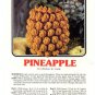Annie's Attic Luscious Fruit Potholders Pineapple Crochet Pattern 345