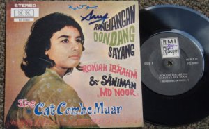 Rokiah Cat Combo Malay classic violin gong EP #RS8060 (322)