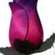 Single Roses